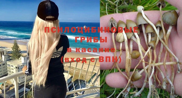 соль курить ск Арсеньев