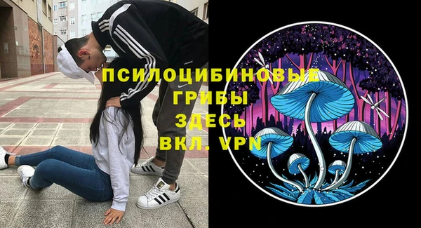 твердый Армянск