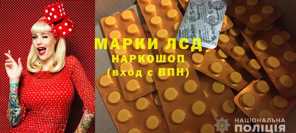 PSILOCYBIN Аркадак