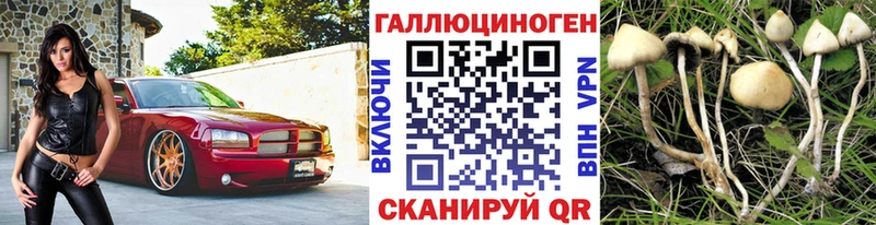 Псилоцибиновые грибы MAGIC MUSHROOMS  Чудово 